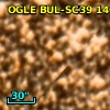 OGLE BUL-SC39  14022