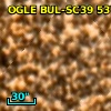 OGLE BUL-SC39  53738