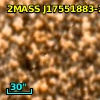 OGLE BUL-SC39  53742