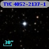 TYC 4052-2137-1