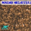 MACHO 402.47737.1590