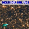 OGLEII DIA BUL-SC3    138