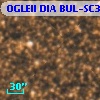OGLEII DIA BUL-SC3    598