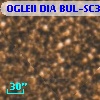 OGLEII DIA BUL-SC3    969