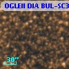 OGLEII DIA BUL-SC3   1169