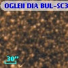 OGLEII DIA BUL-SC3   1170