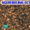 OGLEII DIA BUL-SC3   1179