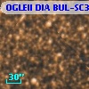 OGLEII DIA BUL-SC3   1481