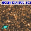 OGLEII DIA BUL-SC3   1486