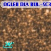 OGLEII DIA BUL-SC3   1779