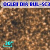 OGLEII DIA BUL-SC3   2562