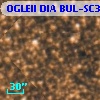 OGLEII DIA BUL-SC3   2822