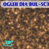 OGLEII DIA BUL-SC3   2986