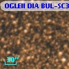 OGLEII DIA BUL-SC3   3199