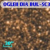 OGLEII DIA BUL-SC3   4409