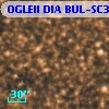 OGLEII DIA BUL-SC3   4589