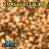 2MASS J17531944-2953284