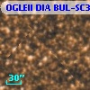 OGLEII DIA BUL-SC3   4595