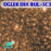 OGLEII DIA BUL-SC3   4662