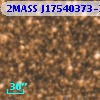 2MASS J17540373-2948219