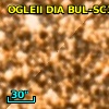 2MASS J17534534-2945441