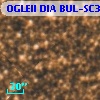 OGLEII DIA BUL-SC3   5733