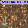 OGLEII DIA BUL-SC3   5813