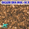 OGLEII DIA BUL-SC3   6069