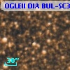 OGLEII DIA BUL-SC3   6231