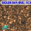 OGLEII DIA BUL-SC3   6456