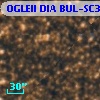 OGLEII DIA BUL-SC3   7461