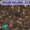 OGLEII DIA BUL-SC3   8261