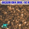 OGLEII DIA BUL-SC4     48