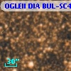 OGLEII DIA BUL-SC4    299