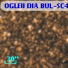 OGLEII DIA BUL-SC4    329