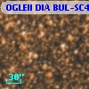 OGLEII DIA BUL-SC4    497