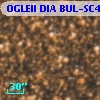 OGLEII DIA BUL-SC4    502