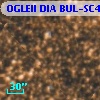 OGLEII DIA BUL-SC4    861