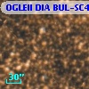 OGLEII DIA BUL-SC4    877