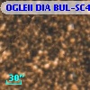 OGLEII DIA BUL-SC4    881