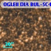 OGLEII DIA BUL-SC4    882