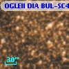 OGLEII DIA BUL-SC4   1017