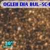 OGLEII DIA BUL-SC4   1021
