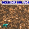 OGLEII DIA BUL-SC4   1049