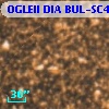 OGLEII DIA BUL-SC4   1050