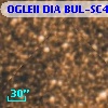 OGLEII DIA BUL-SC4   1269