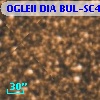 OGLEII DIA BUL-SC4   1419