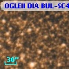 OGLEII DIA BUL-SC4   1499
