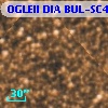 OGLEII DIA BUL-SC4   1543