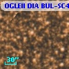OGLEII DIA BUL-SC4   1585